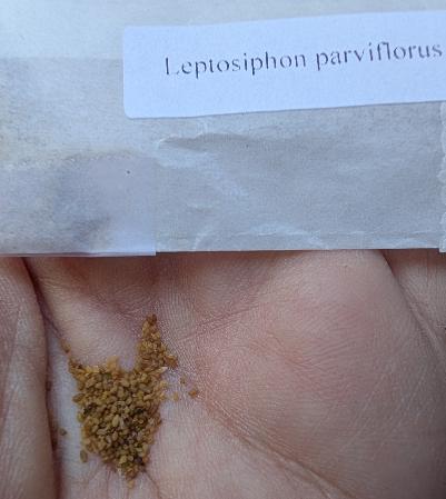 Seed packet