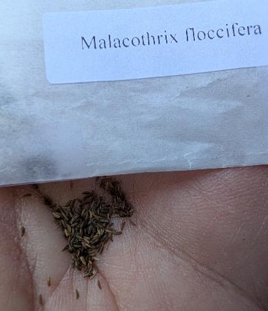 Seed packet