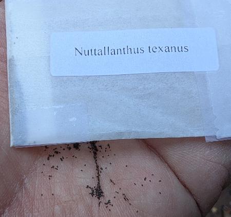 Seed packet